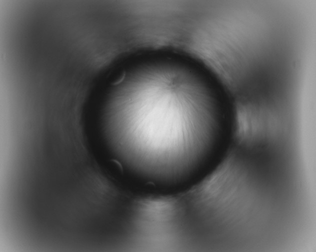 X0000092060770200709262027