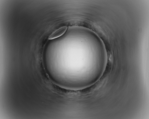 X0000092060771200709262027