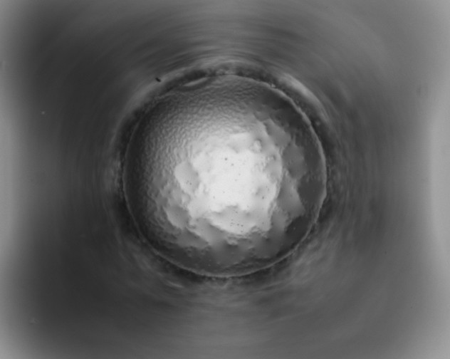 X0000092060775200709262027