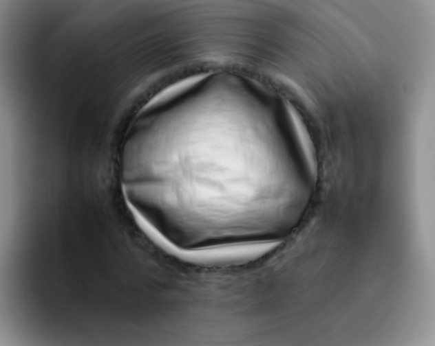 X0000092060776200709262027