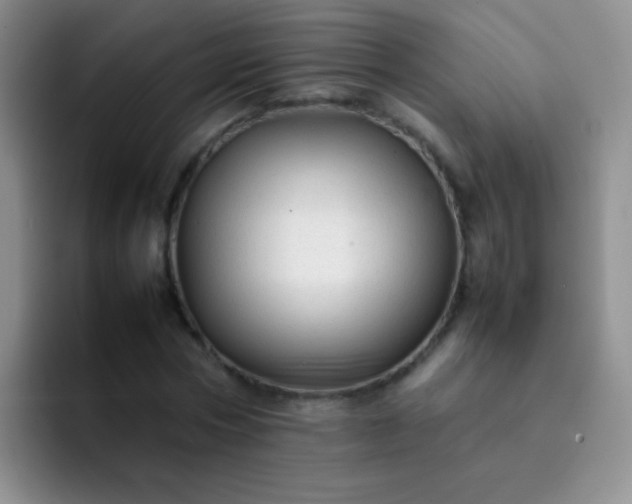 X0000092060778200709262027