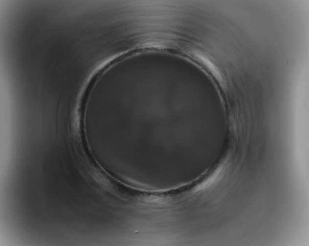 X0000092060779200709262027