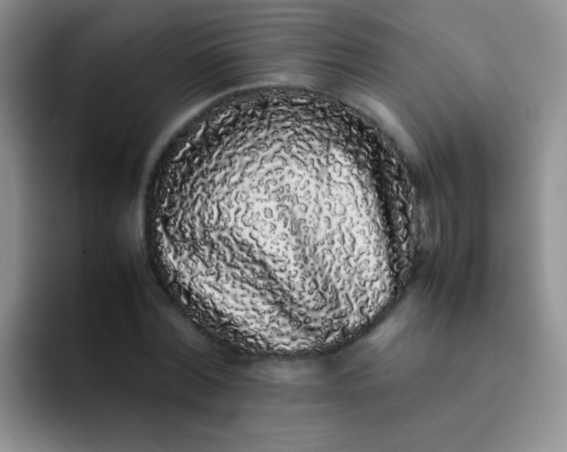 X0000092060780200709262027