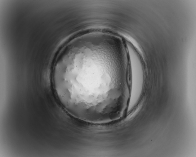 X0000092060783200709262027