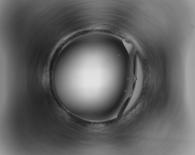 X0000092060784200709262027