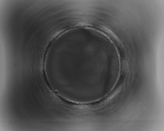 X0000092060785200709262027