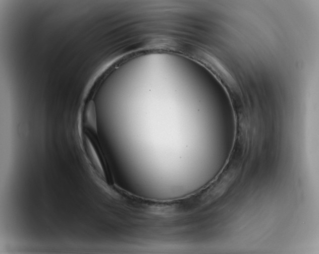 X0000092060788200709262027