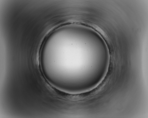 X0000092060791200709262027