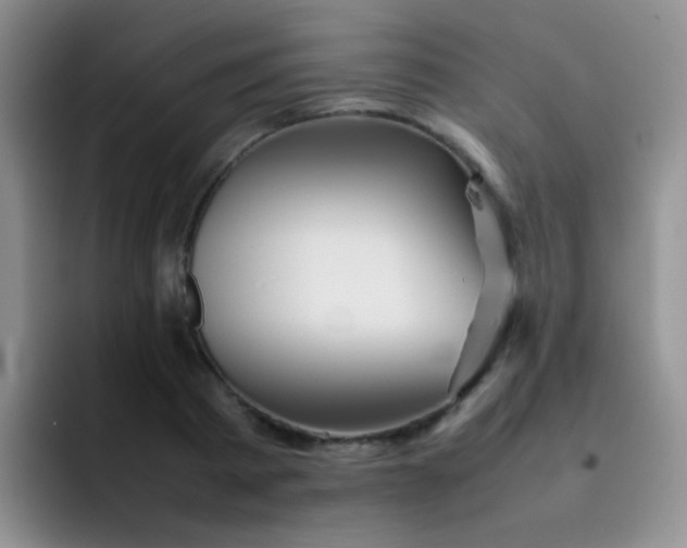 X0000092060793200709262027