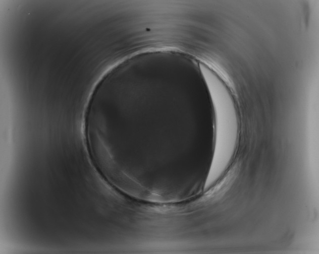 X0000092060797200709262027