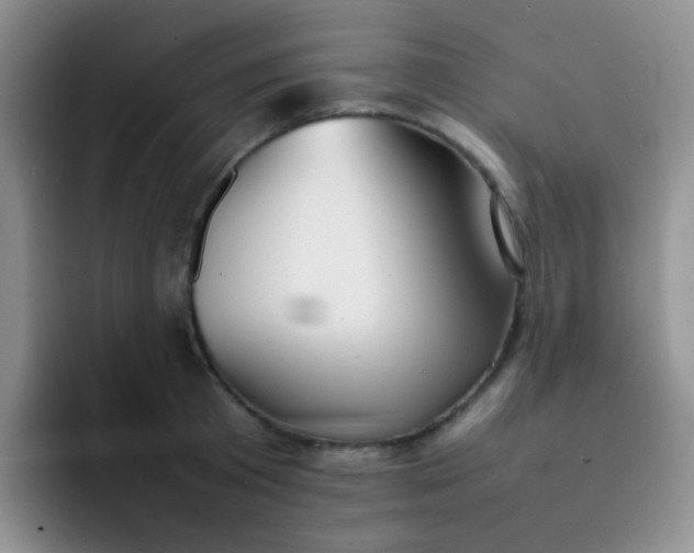 X0000092060801200709262026