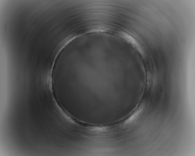 X0000092060802200709262026