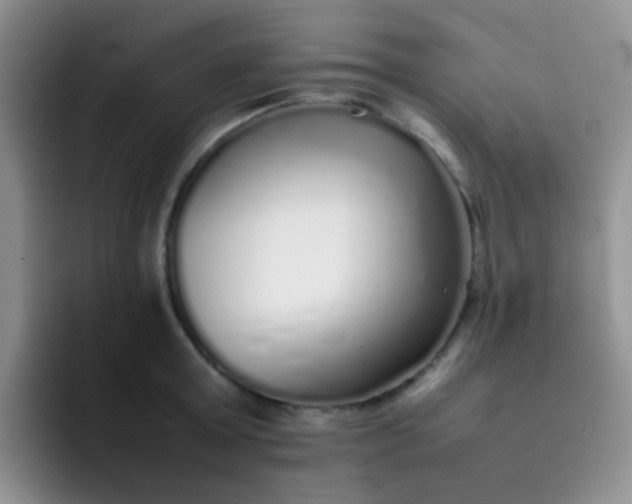 X0000092060803200709262026