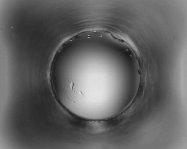 X0000092060805200709262026