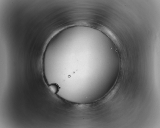 X0000092060808200709262026