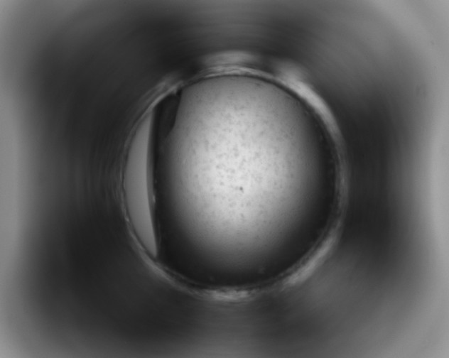 X0000092060809200709262026