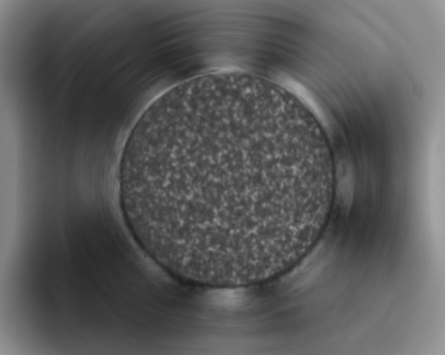 X0000092060810200709262026