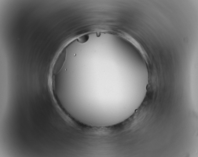 X0000092060811200709262026