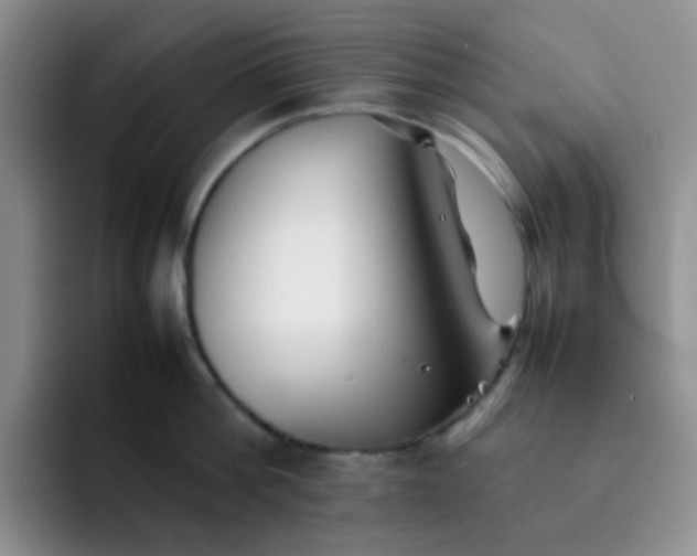 X0000092060812200709262026