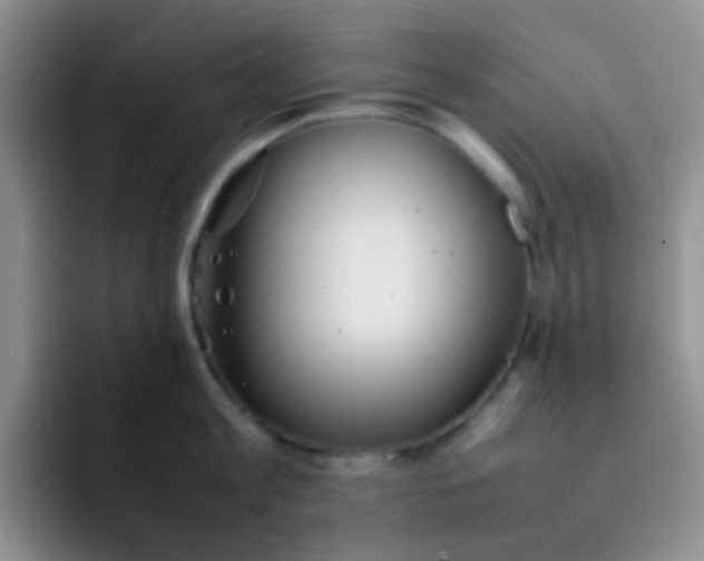 X0000092060813200709262026