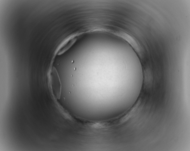 X0000092060814200709262026