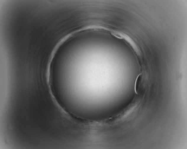 X0000092060815200709262026