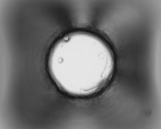 X0000092060817200709262026