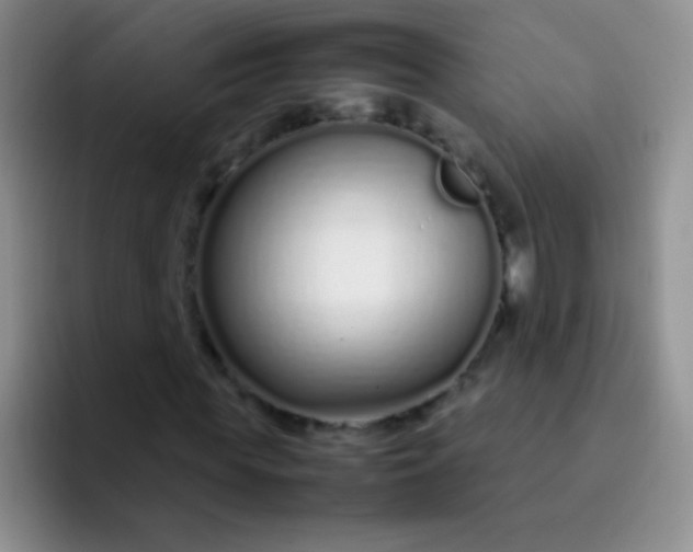 X0000092060819200709262026