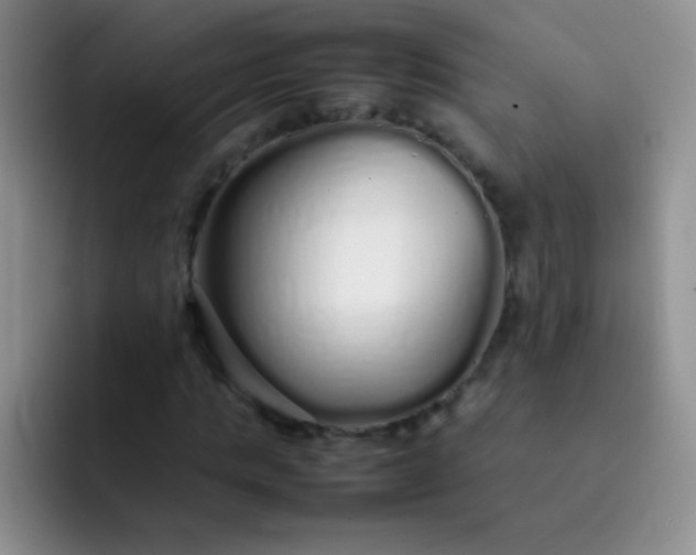 X0000092060821200709262026