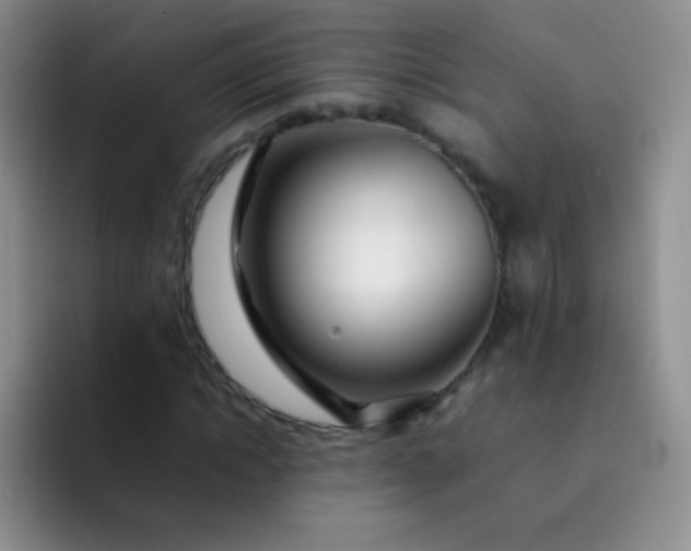 X0000092060822200709262026