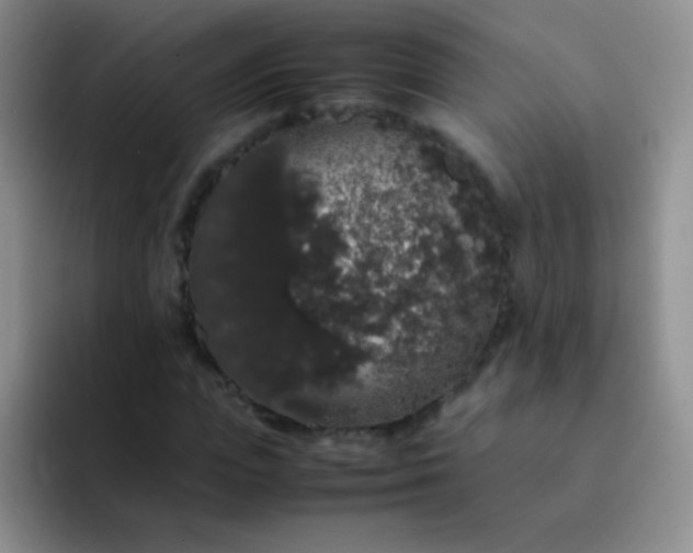 X0000092060823200709262026