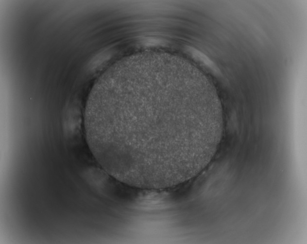 X0000092060824200709262026