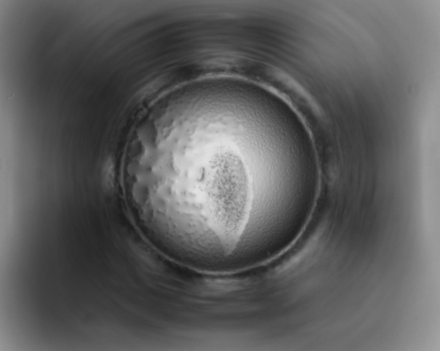 X0000092060825200709262026