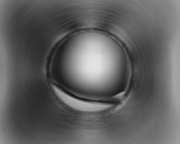 X0000092060826200709262026