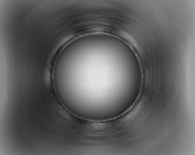 X0000092060827200709262026