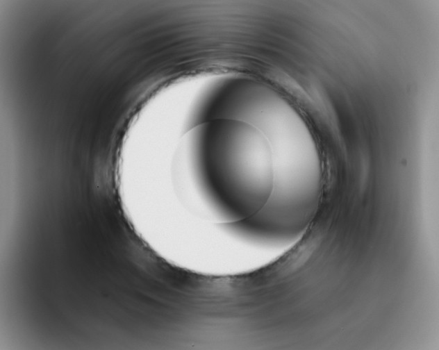 X0000092060828200709262026