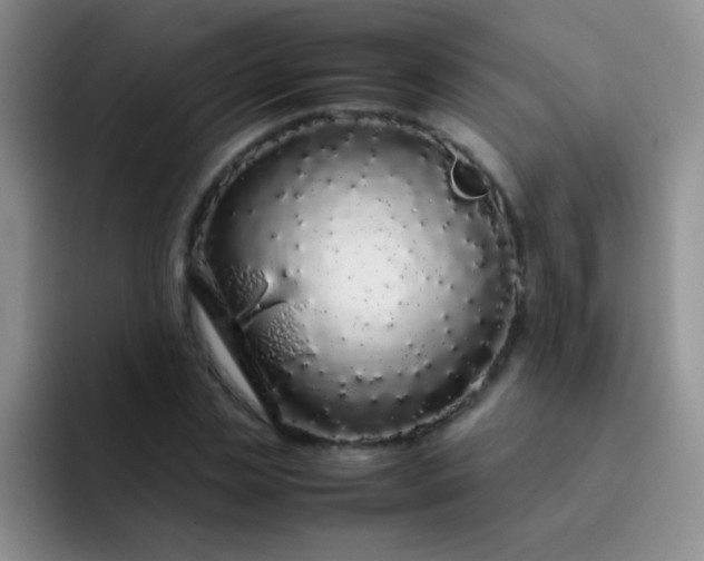 X0000092060829200709262026