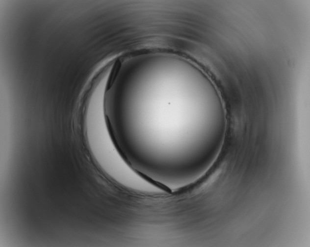 X0000092060830200709262026