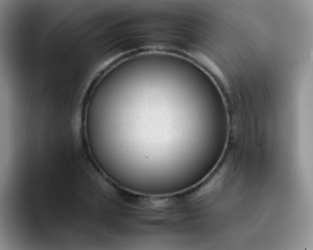 X0000092060831200709262026