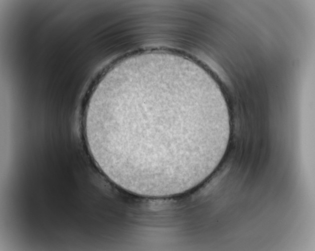 X0000092060832200709262026