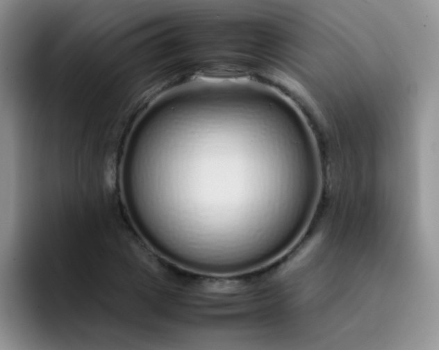 X0000092060833200709262026