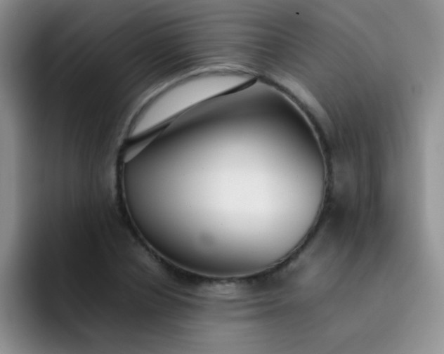 X0000092060834200709262026