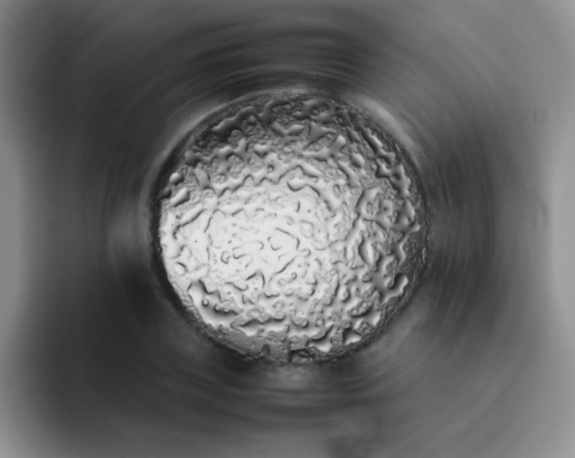 X0000092060835200709262026