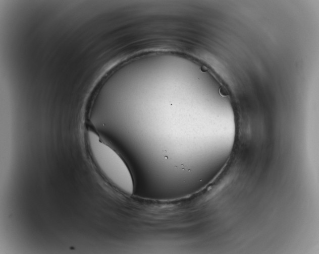 X0000092060837200709262026