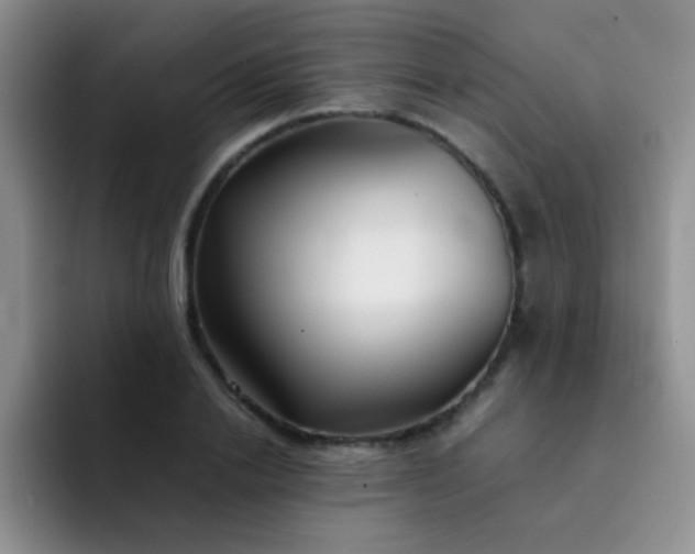 X0000092060838200709262026