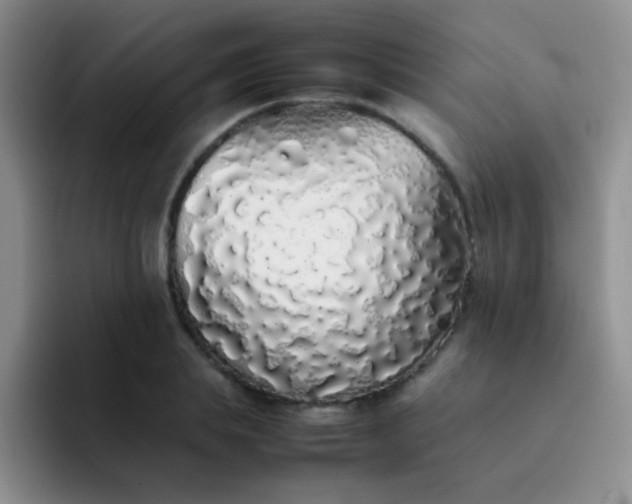 X0000092060839200709262026