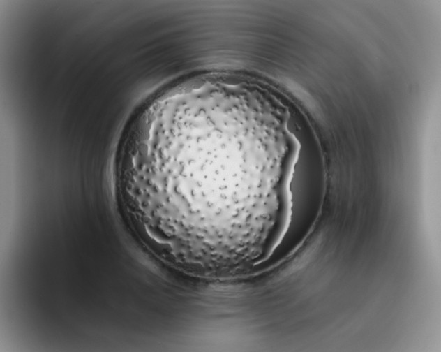 X0000092060840200709262026