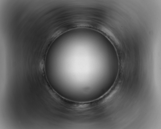 X0000092060841200709262026