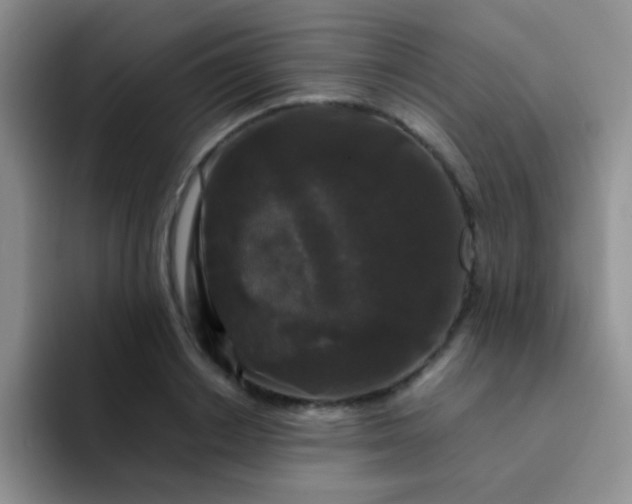 X0000092060842200709262026