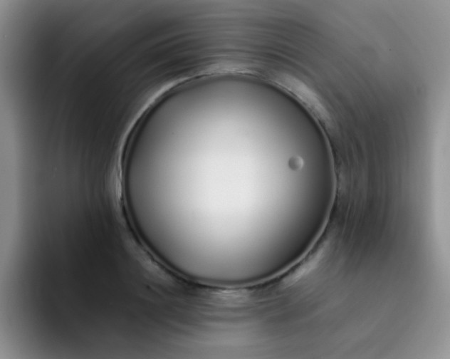 X0000092060844200709262026